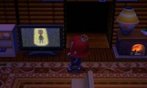 SPUND! Messaggi alieni in Animal Crossing: New Leaf