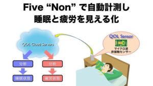 Dichiarazioni di Iwata sul QOL e sul consumatore tipo