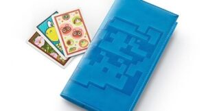 Un porta carte AR nel Club Nintendo giapponese