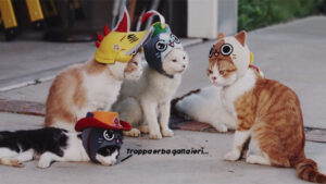 Non dire gatto se non ce l’hai nel Poka Poka Village: ecco le foto dei felini in costume!