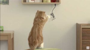 I gatti amano Chibi Robo nei nuovi spot giapponesi!
