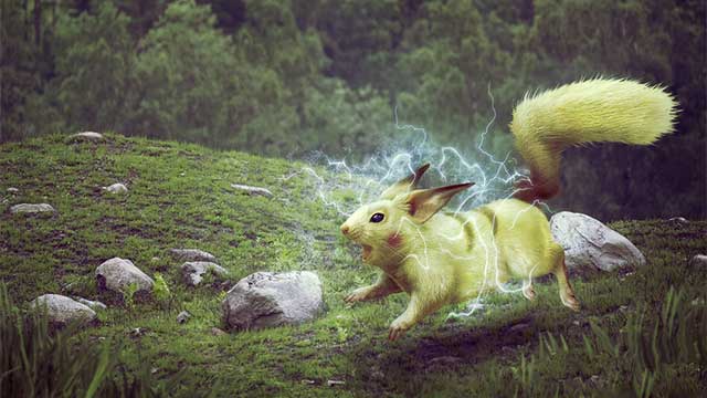 pokémon film animali veri