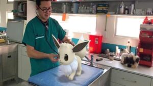Pokémon GO trasforma un ambulatorio veterinario in un centro Pokémon
