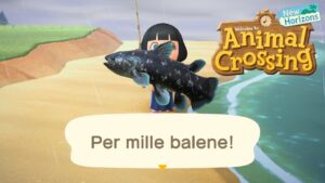 Animal Crossing: New Horizons, come pescare il mitico celacanto